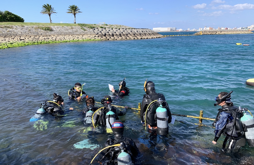 PADIダイビングインストラクター試験2022年3月沖縄：限定水域の様子