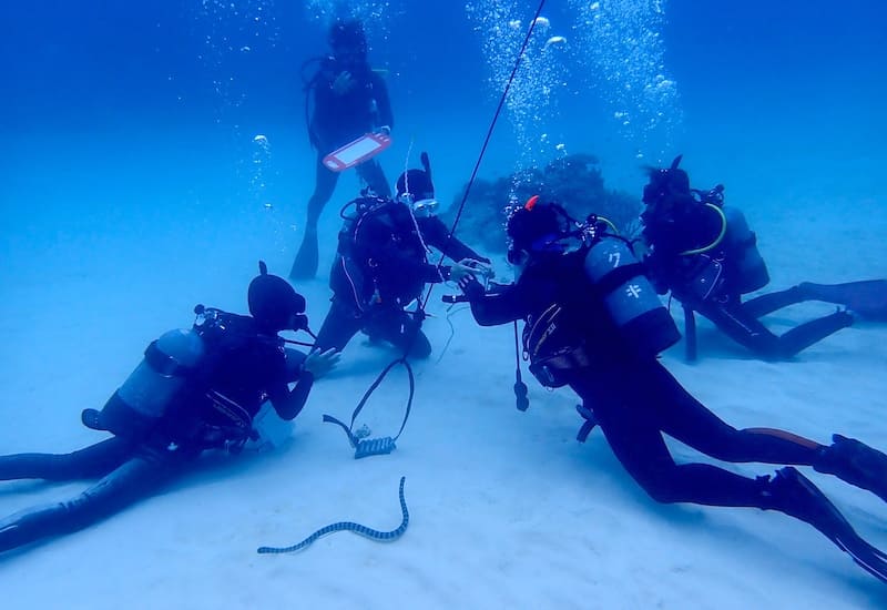 PADI IDC受講生が水中で集合し、器材スキルやトラブル対応の練習をしている様子