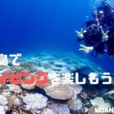 石垣島で体験ダイビングを楽しもう