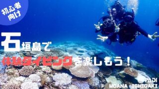 【初心者向け】石垣島で体験ダイビングを楽しもう！