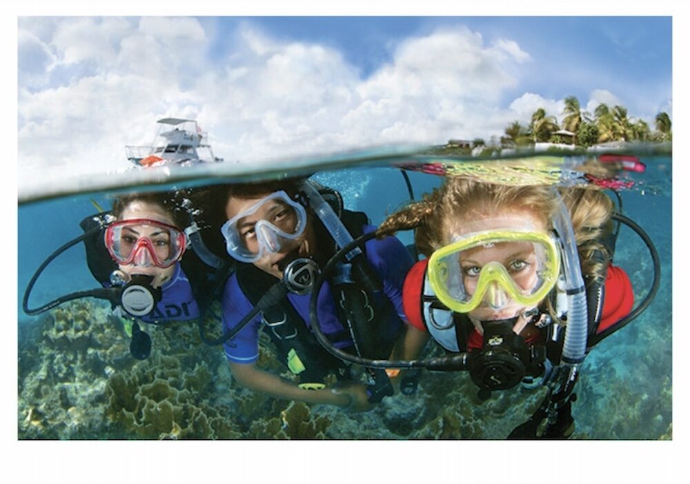 最新の学習システムe-learning