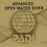 PADIアドバンスド・オープンウォーターダイバーのゴールドカード