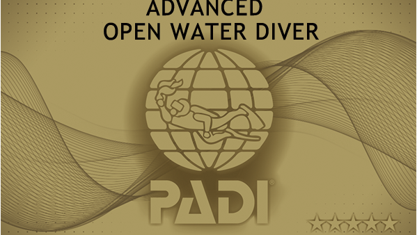 PADIアドバンスド・オープンウォーターダイバーコース（AOW）について