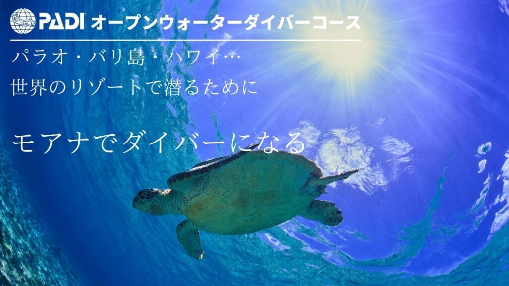 モアナ石垣島のPADIオープンウォーターダイバーコース
