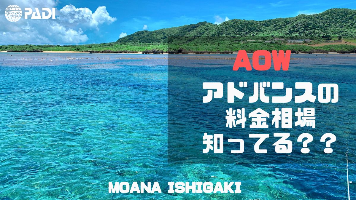 アドバンスの料金相場