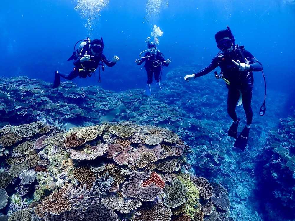 ダイビングを通して出会う仲間