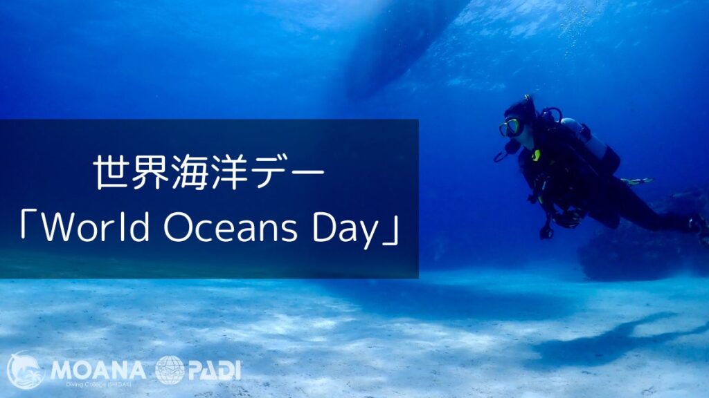 World Oceans Day