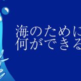 海のために何ができる？ゴミ0（ゼロ）を目指して