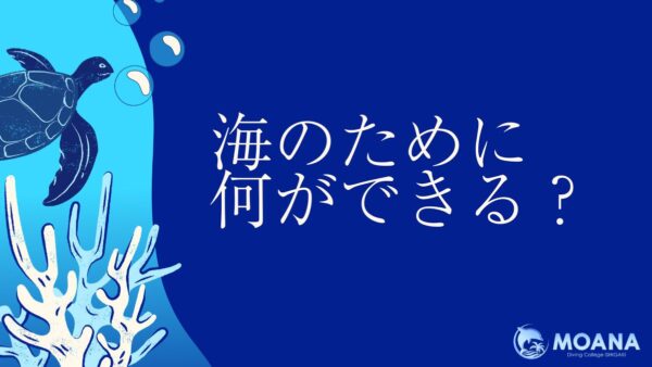 海のために何ができる？ゴミ0（ゼロ）を目指して