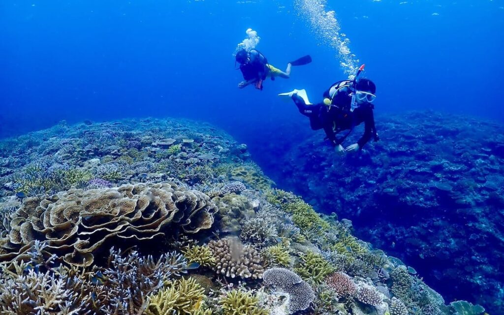 MOANAダイビングカレッジ石垣島のトップページ画像：ダイバー