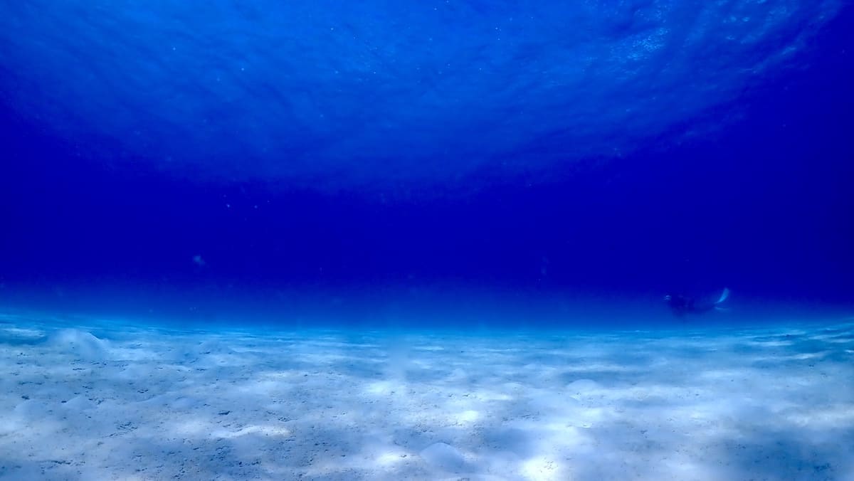 石垣島の青い海の景色。静かな砂地と青のグラデーションが広がる水中風景。