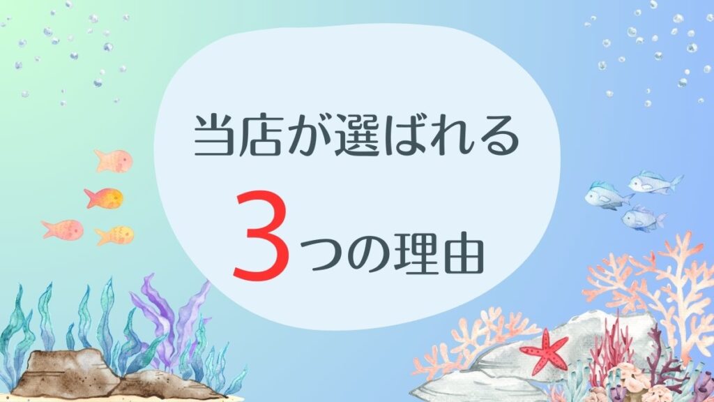 MOANAダイビングカレッジ石垣島が選ばれる3つの理由のアイキャッチ画像