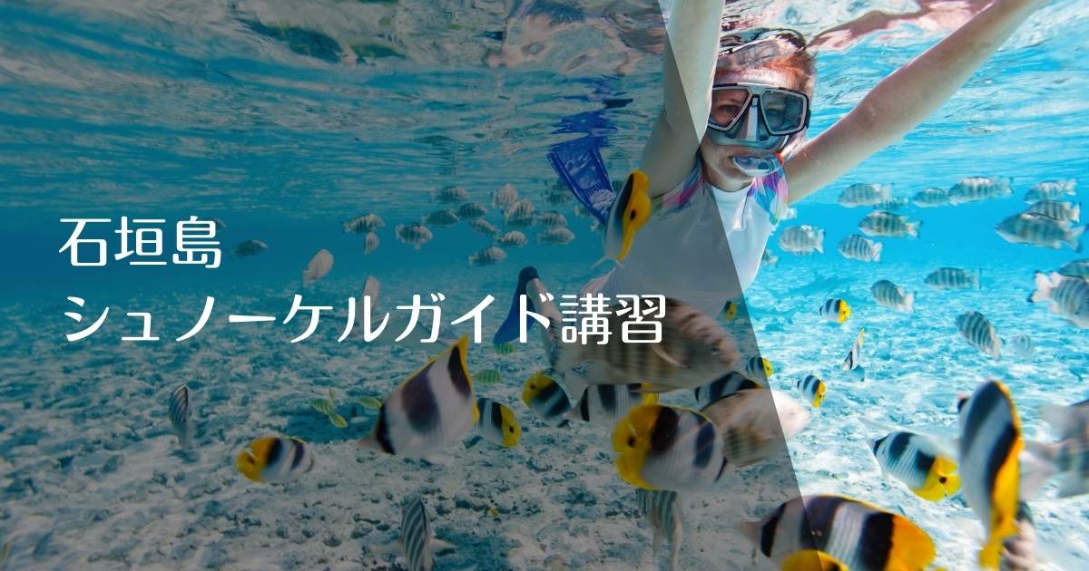 石垣島シュノーケルガイド講習のアイキャチ画像