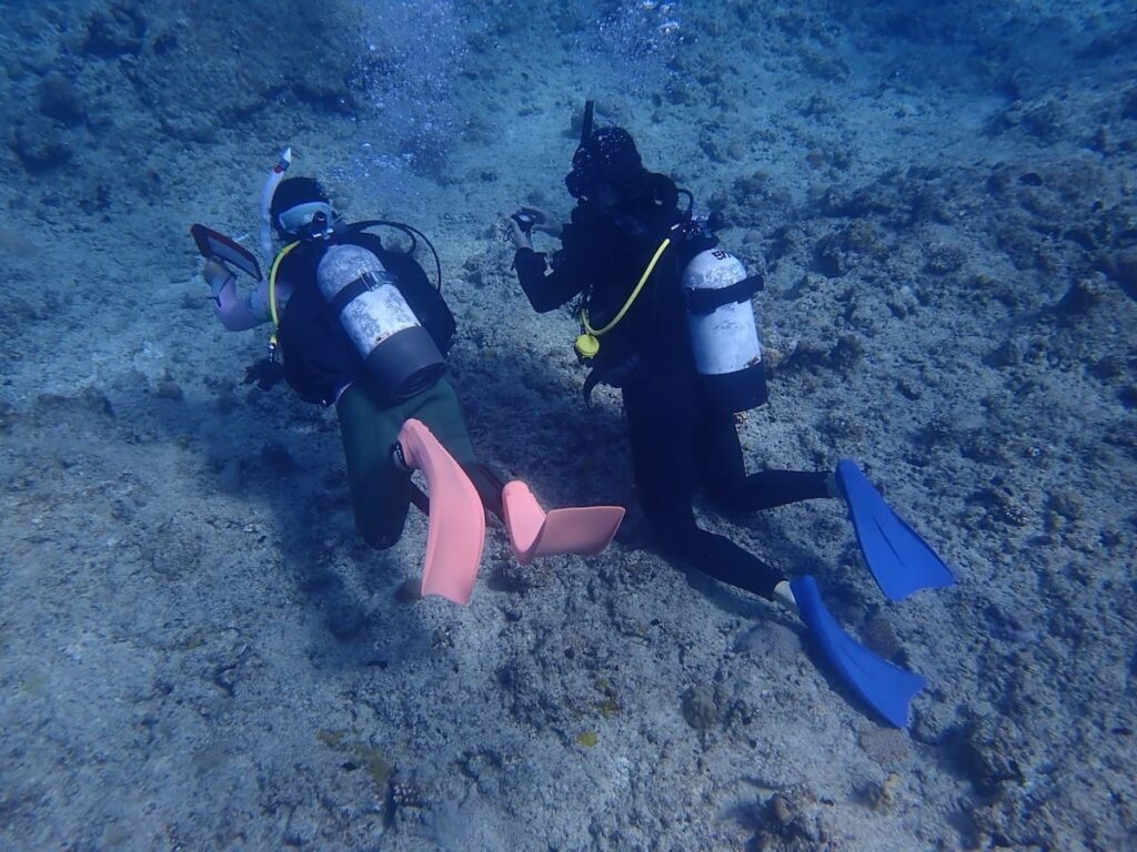 石垣島でダイビングライセンス取得|2025年12月講習レポートのナビゲーションの写真