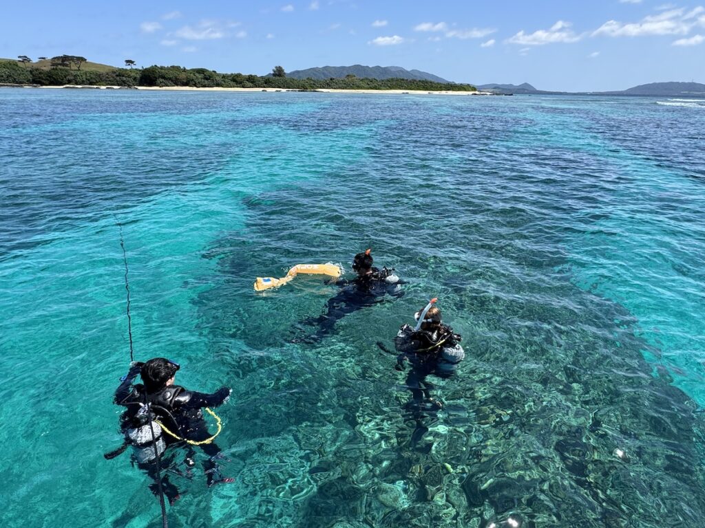 石垣島でダイビングライセンス取得｜2026年3月講習レポートの水面の写真