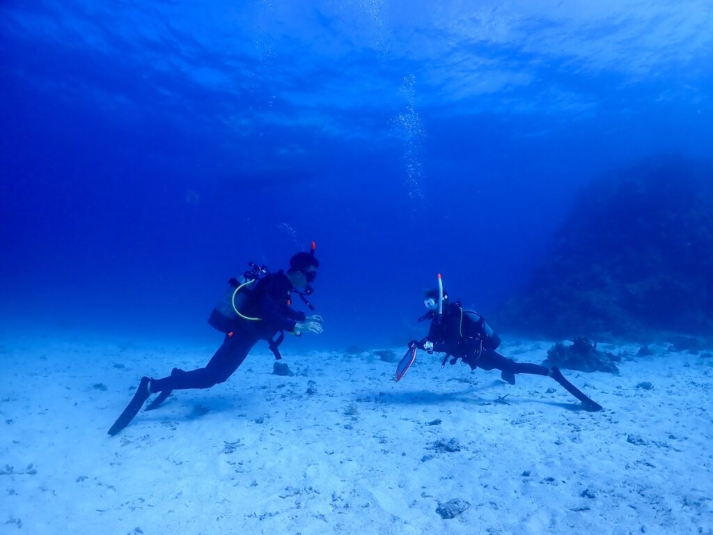 石垣島でダイビングライセンス取得｜2026年3月講習レポートのPPBの写真