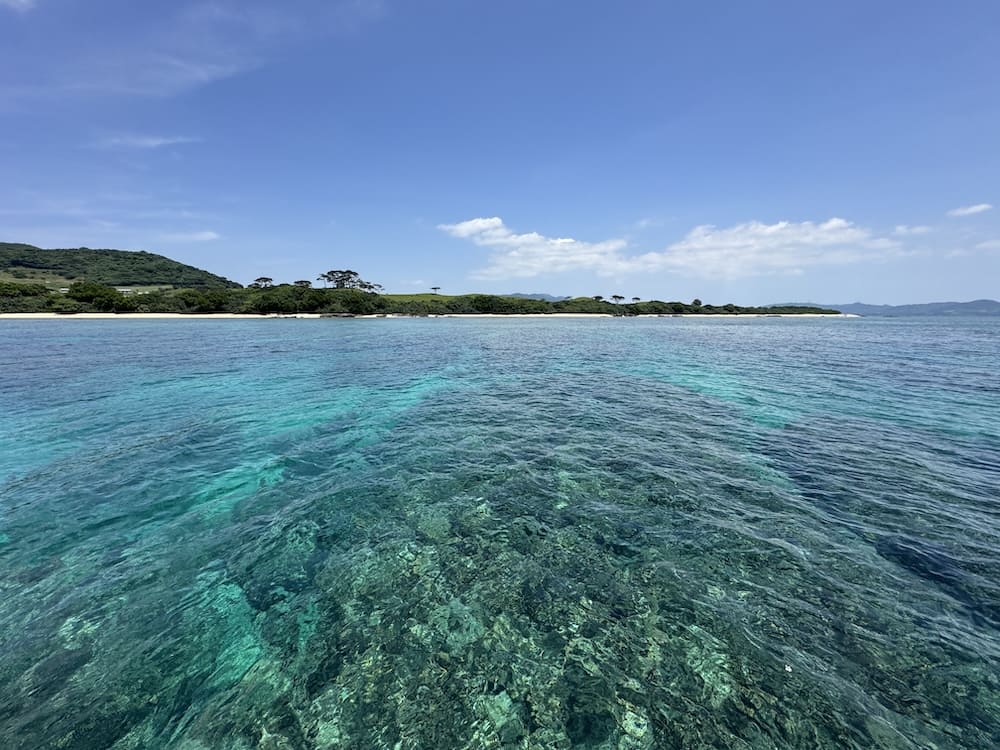 石垣島でダイビングライセンス取得｜2026年4月講習レポート・綺麗な石垣島の海